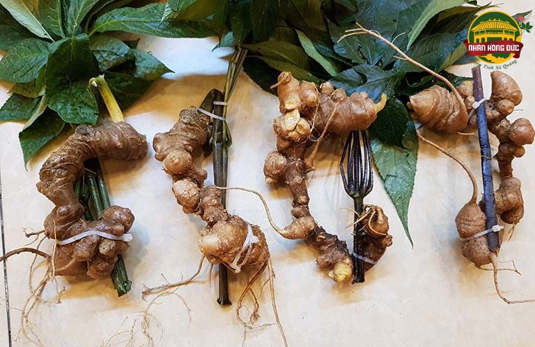 đặc sản quảng nam làm quà