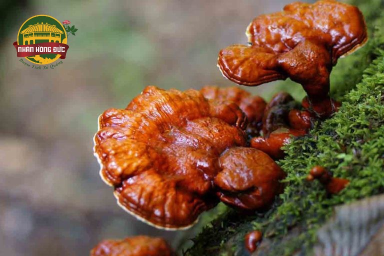 đặc sản quảng nam đà nẵng